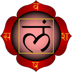 Root Chakra(Muladhara)