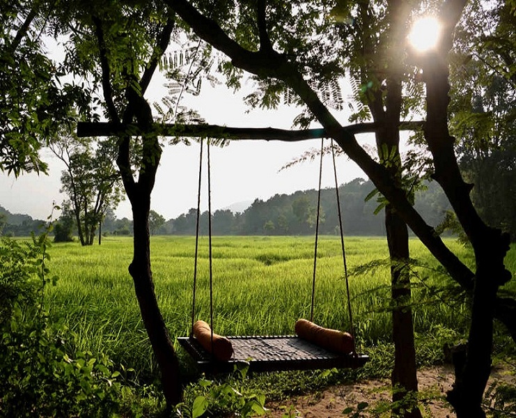 065425082201Swingbed-in-front-of-paddy-fields-at-Ulpotha.jpg